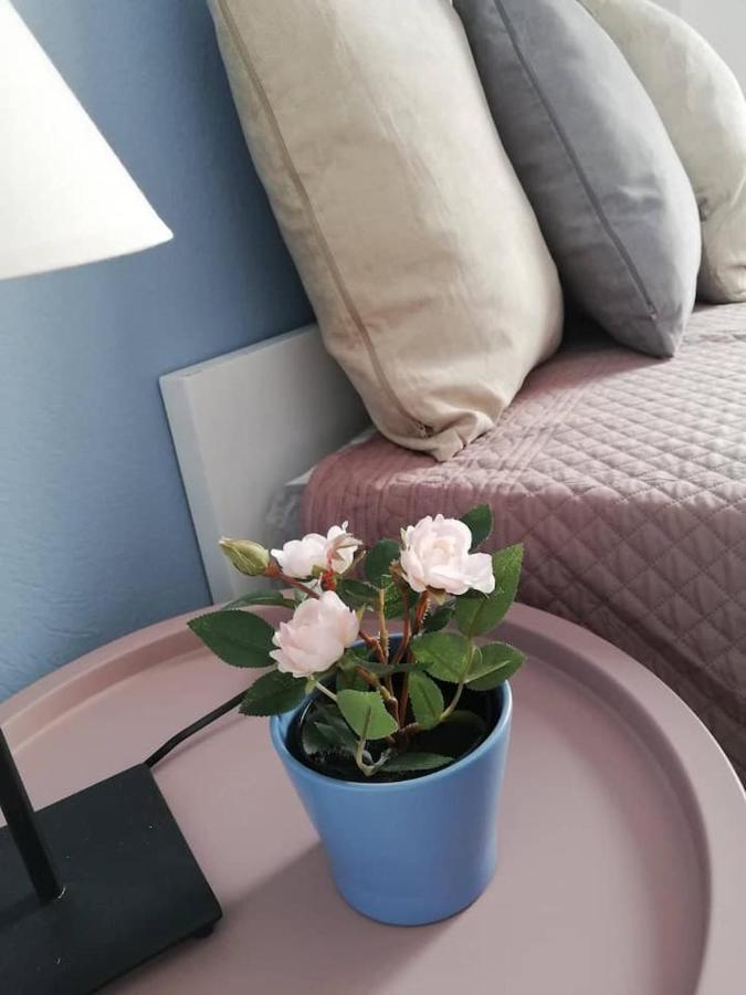 The Rose Apartment ヴォロス エクステリア 写真
